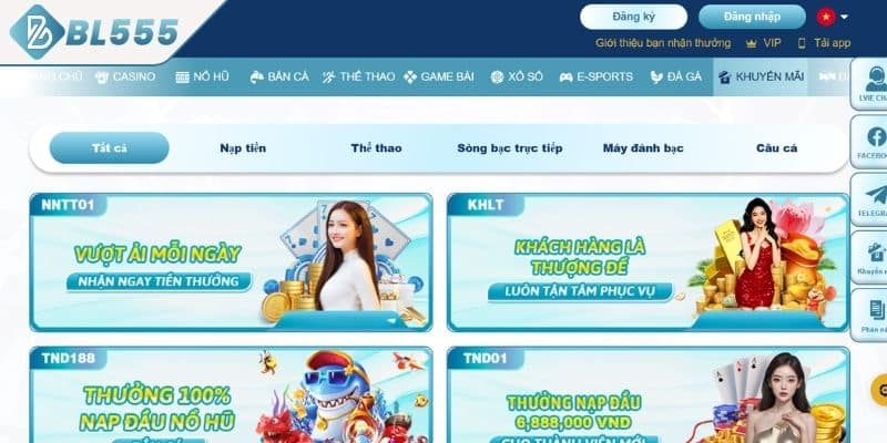 Tổng quan về các chương trình khuyến mãi BL555